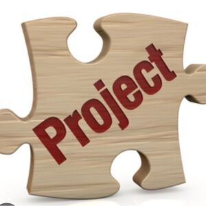 Live Auction Project Piece